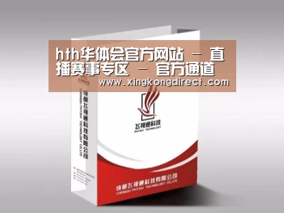 项目名称十三