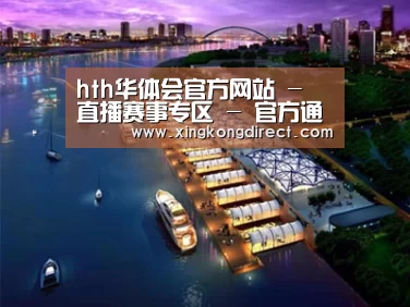 案例展示八