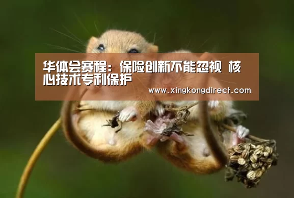 华体会赛程:保险创新不能忽视 核心技术专利保护(图1) 华体会赛程