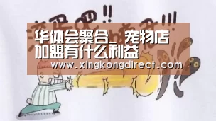华体会聚合_
宠物店加盟有什么利益(图3) 华体会快讯