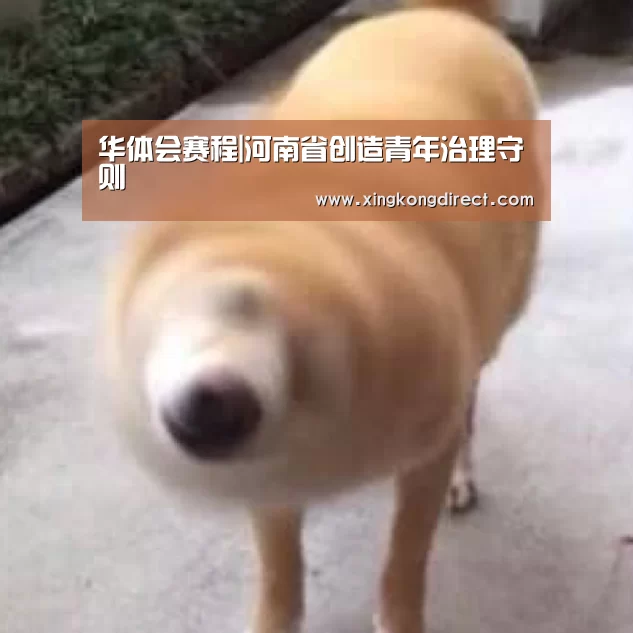 华体会赛程|河南省创造青年治理守则(图13) 华体会赛程