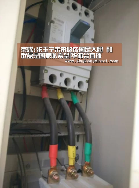 京媒:张玉宁未来必成国足大腿 和武磊是国家队希望|华体会直播(图1) 华体会快讯