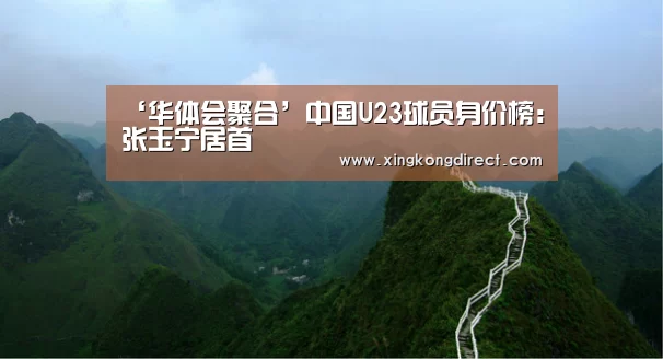 ‘华体会聚合’中国U23球员身价榜:张玉宁居首(图3) 华体会聚合