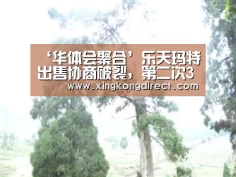 ‘华体会聚合’乐天玛特出售协商破裂,第二次3亿美元注资月底即将花光(图3) 华体会快讯