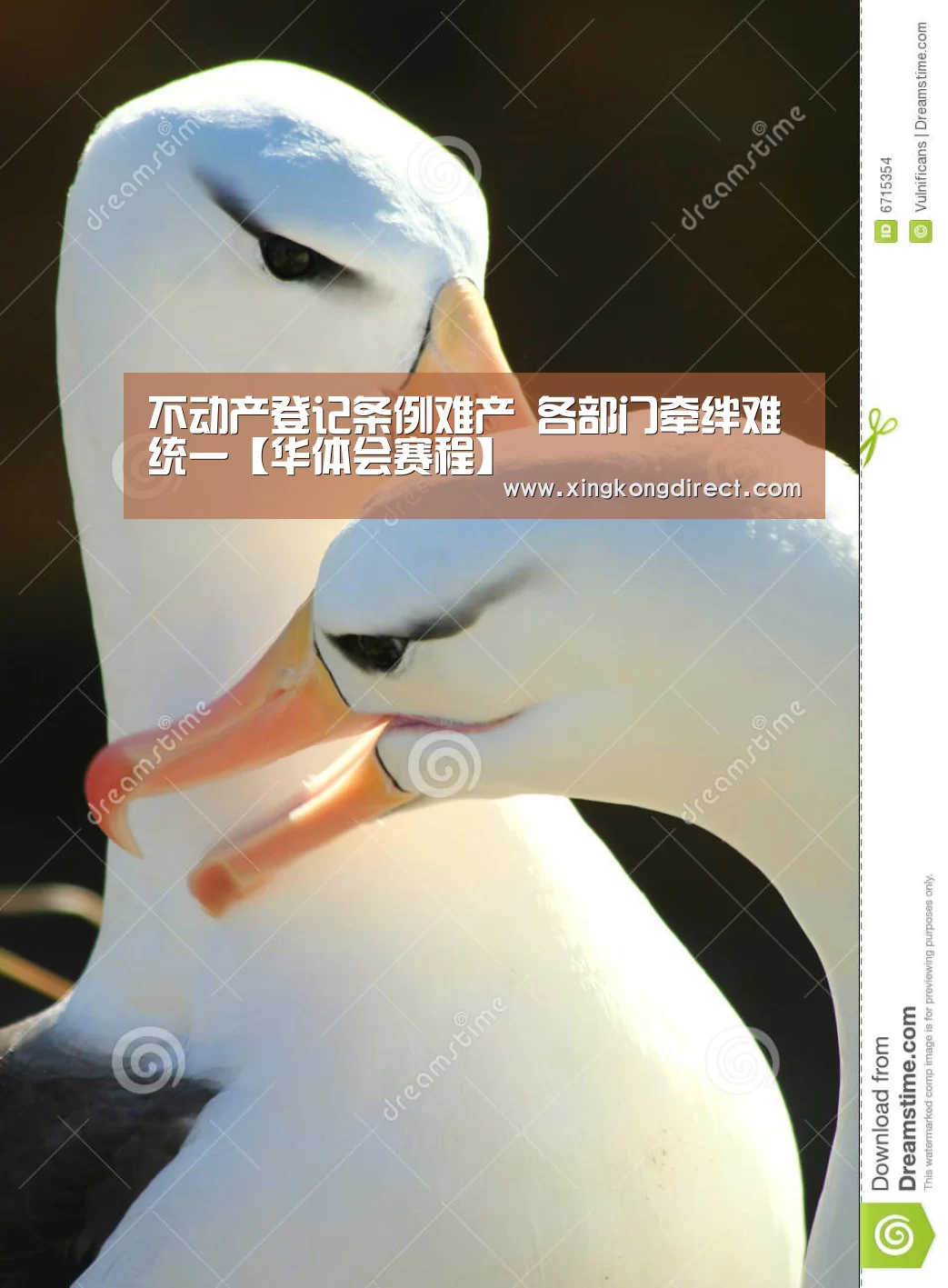 不动产登记条例难产 各部门牵绊难统一【华体会赛程】(图3) 华体会快讯