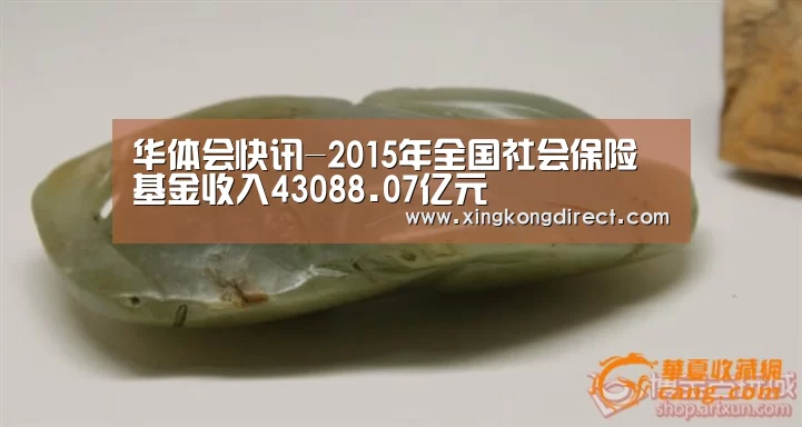 华体会快讯-2015年全国社会保险基金收入43088.07亿元(图1) 华体会快讯