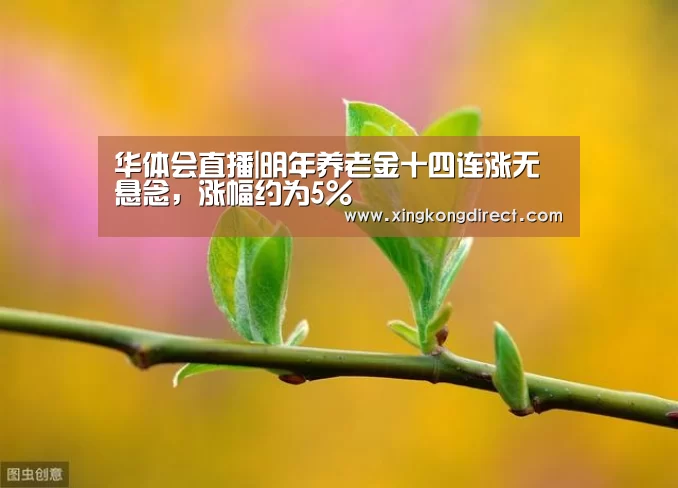 华体会直播|明年养老金十四连涨无悬念,涨幅约为5%(图2) 华体会快讯