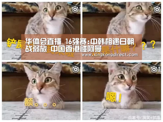 华体会直播_16强赛:中韩相遇日朝战弱旅 中国香港碰阿曼(图3) 华体会赛程